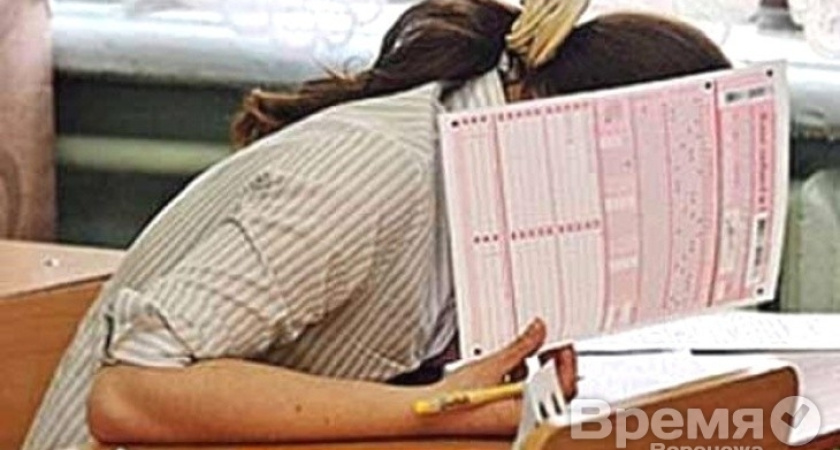 За проведением ЕГЭ в Воронеже наблюдатели будут следить через видеокамеры