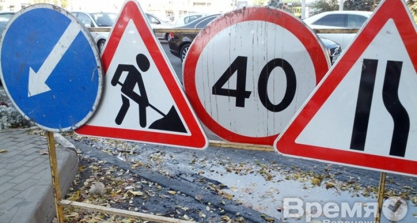 Организация Нетесова бросает вызов мэру Воронежа