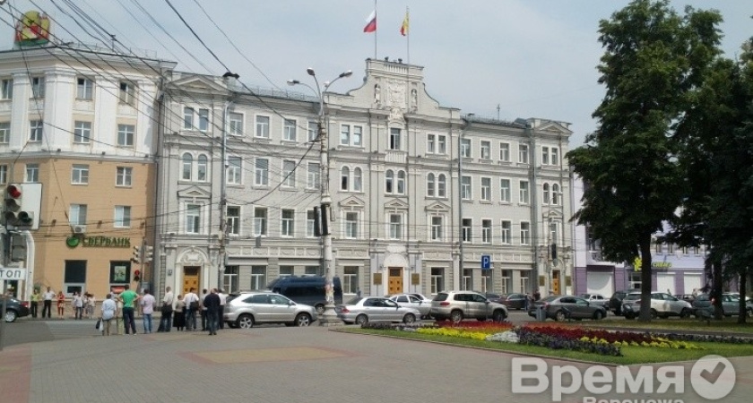 Эффективность экономических показателей Воронежа сравнивают с показателями маленьких городков