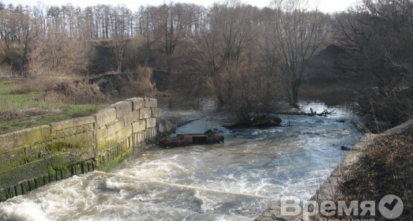 Воронежские общественники выступили против загрязнения реки Дон