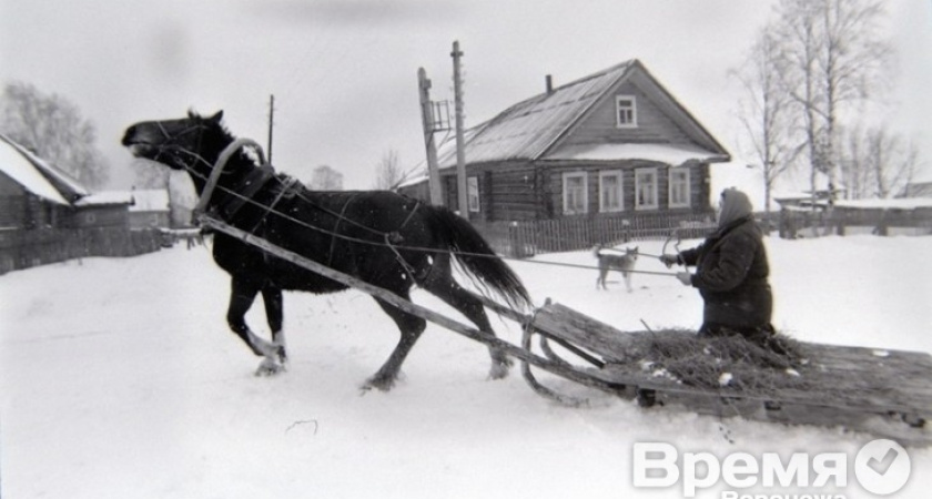 Воронеж включается в дело спасения почты