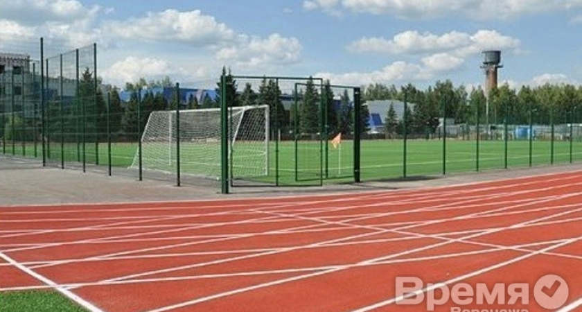 Кому было выгодно целенаправленно мешать строительству стадионов в школах Воронежа?