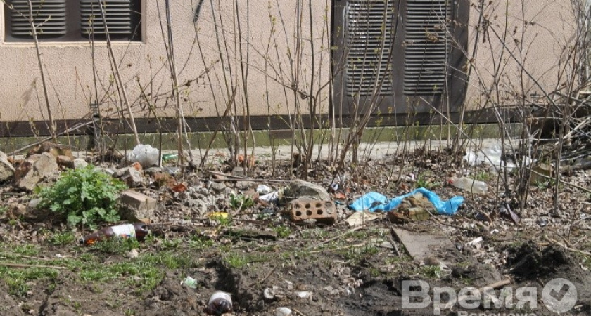 Мэрия Воронежа планирует ужесточить контроль над вывозом мусора