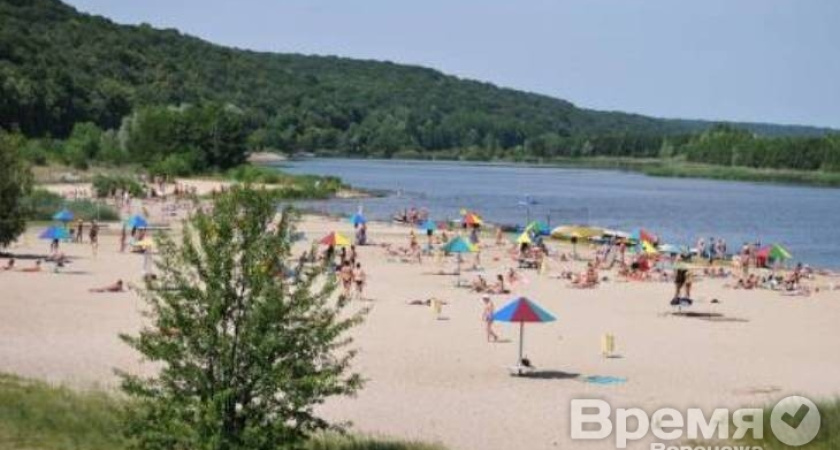 Санитарные врачи не рекомендуют купаться в районе четырёх пляжей Воронежа