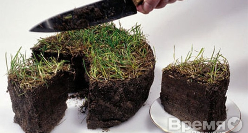 Какую землю готова предложить строителям мэрия Воронежа?