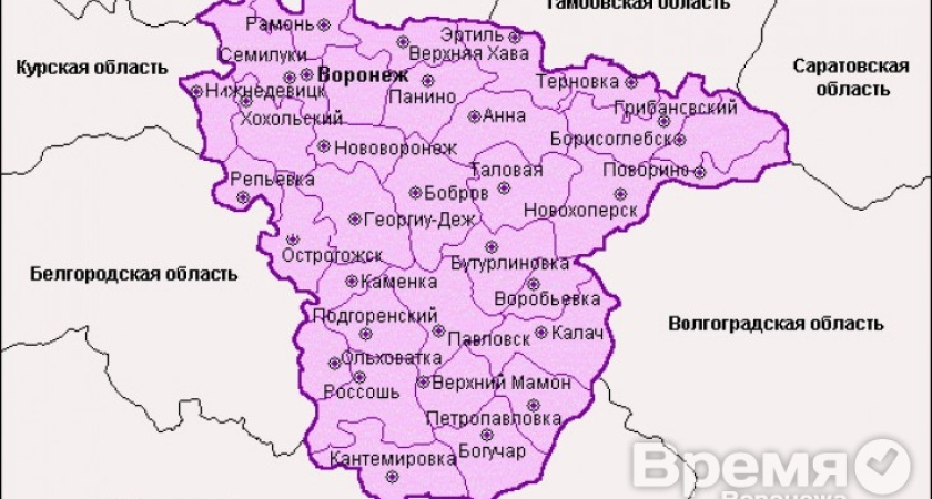 Воронежские музеи будут месяц работать бесплатно