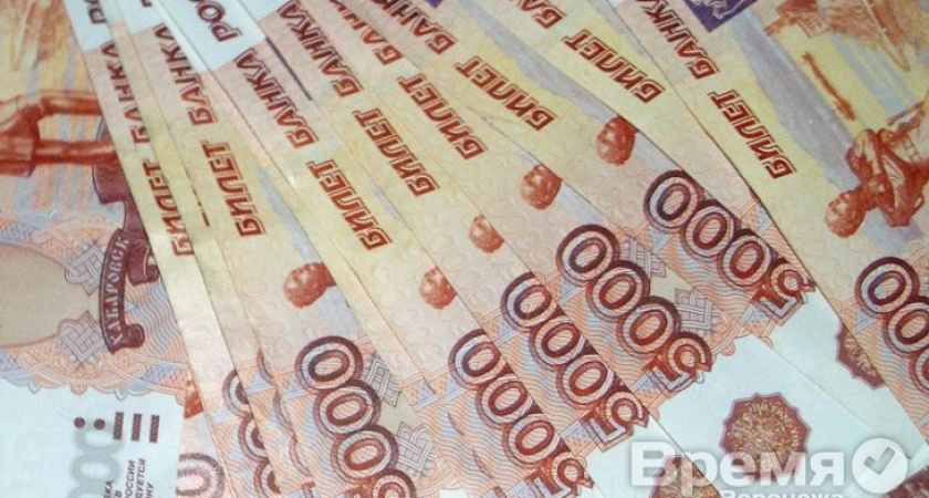 В Воронежской области самый большой официальный доход у фермера