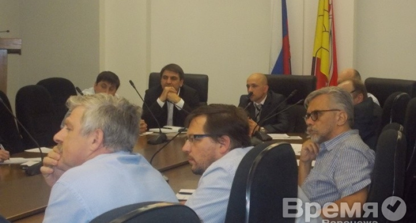 Новая модель местного самоуправления у воронежских экспертов  понимания не встретила