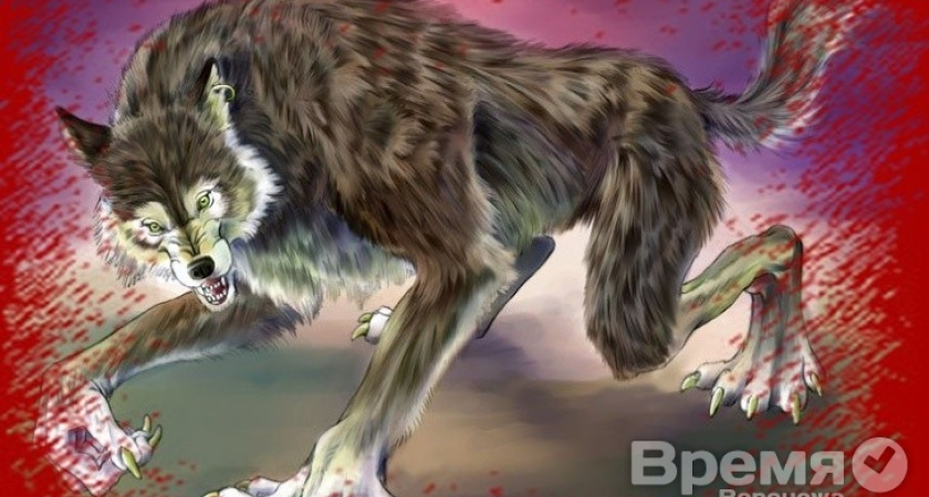 Семилукский депутат – не оборотень