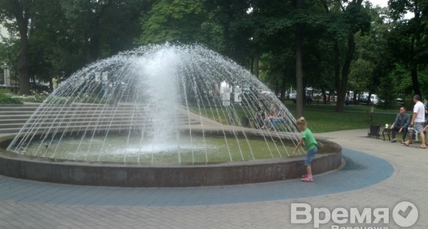 17% воронежцев всем недовольны