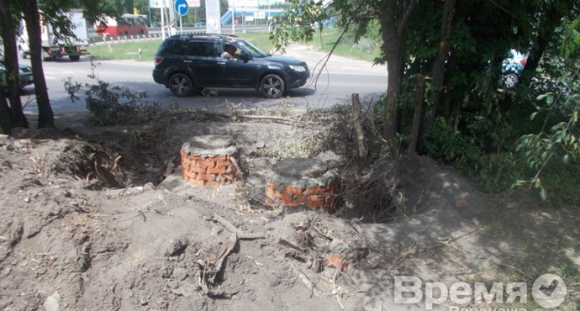 Специалисты «РВК-Воронеж» не заметили газона