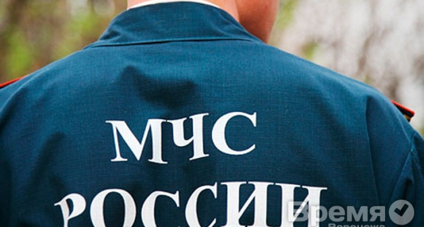 Воронежская область сама справляется с беженцами