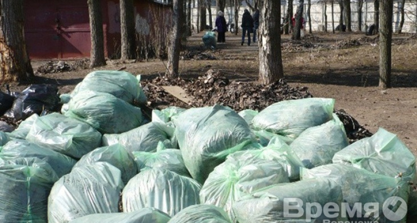 Воронежские власти волнуются за несанкционированные свалки