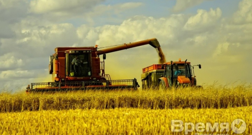 Тамбовские хлеборобы собрали первый миллион тонн зерна