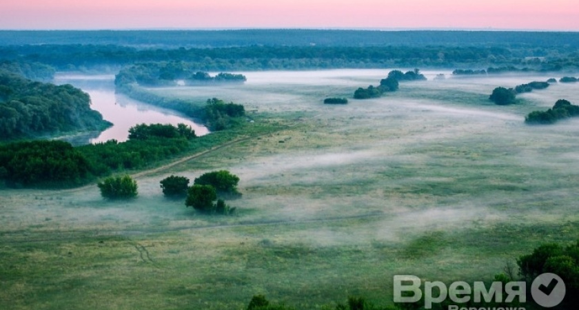 В Дивногорье две недели будут жить художники и скульпторы