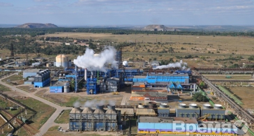 Воронежская Россошь может оказаться в эпицентре поражения «кровяным ядом»