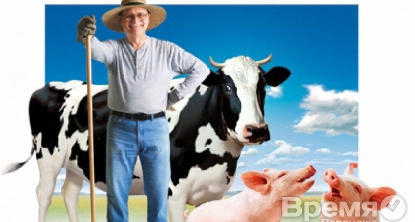 Воронежские фермеры берут многомиллионные кредиты по поддельным документам