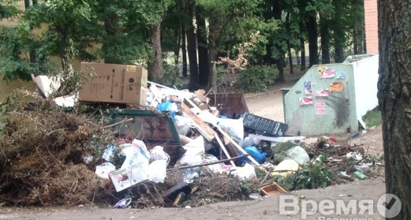 Мусорные контейнеры у жилых домов переполнены из-за нерадивых владельцев магазинов и кафе