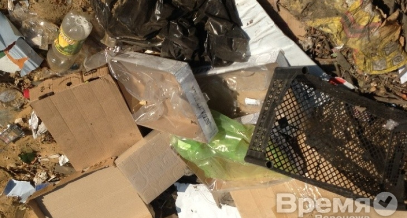 В контейнеры для отходов у жилых домов несут коробки из магазинов и поликлиник