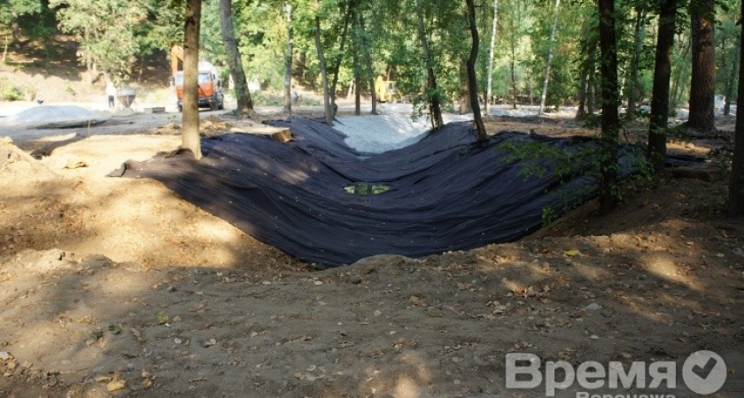 Парк «Динамо» всё же останется без купелей