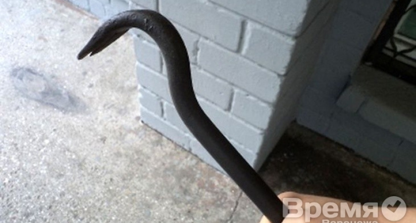 Экс-лидер воронежской еврейской общины атакован человеком с гвоздодёром