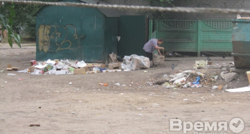 Воронежские коммерсанты продолжают вывозить свой мусор за чужой счёт