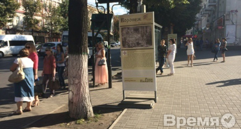 Вандалы Воронежа охотятся на «Бессмертный подвиг»