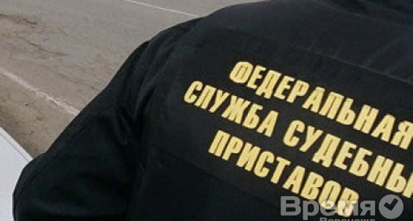 Воронежец уже четыре месяца прячет сыновей от бывшей жены и судебных приставов