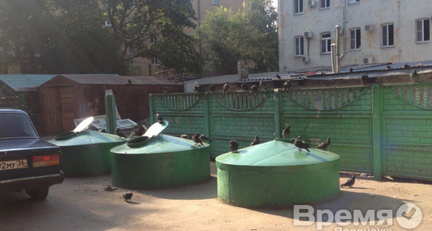 Воронеж избавился от залежей мусора?