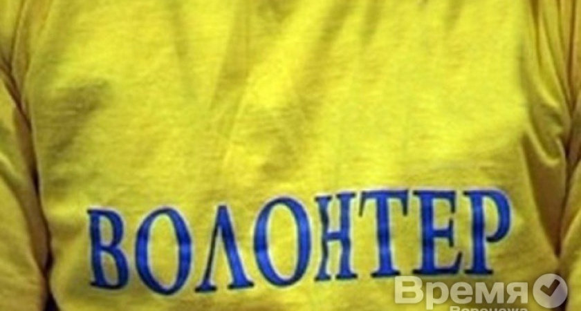 Воронежских волонтёров научат и простимулируют