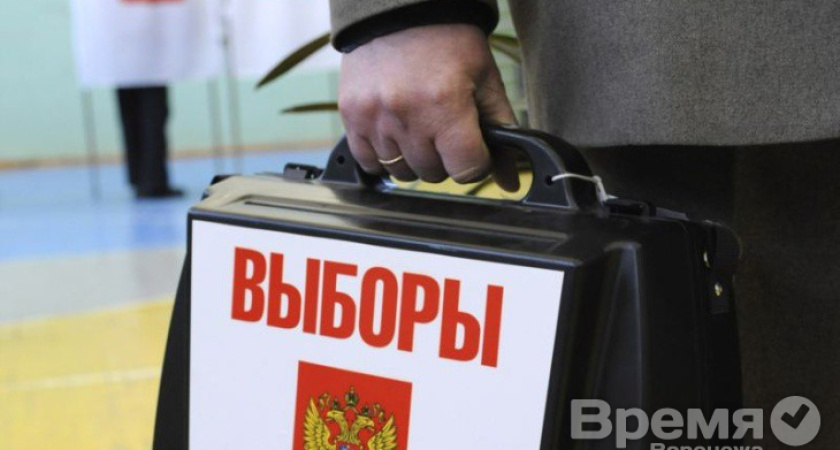 Воронежцы не жалуются на то, что начальство принуждает их голосовать по месту работы