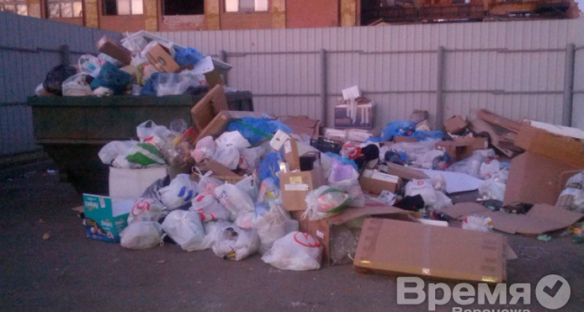 Мэрия Воронежа пообещала спасти жителей от мусора, если УК «ЖКХ» Михаила Палютина не начнет платить за вывоз