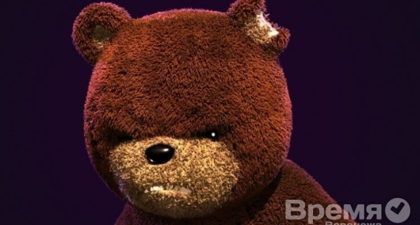 В Воронеже больше не будет «вредных» плюшевых мишек?