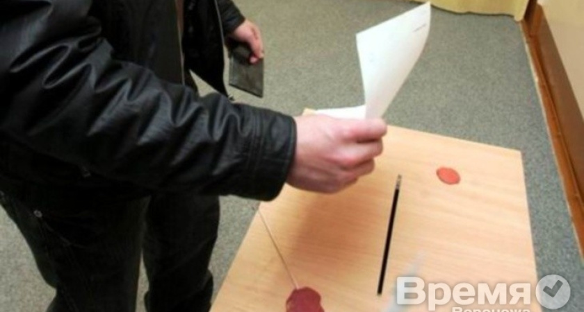В Воронеже тоже будут выбирать власть в «Новороссии»?