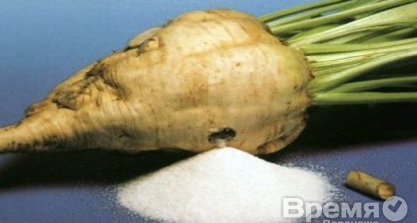 К чему приведёт монополизация рынка сахара в Воронежской области?