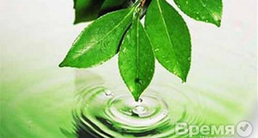 Воронеж стал пятым среди городов России по экологическому благополучию