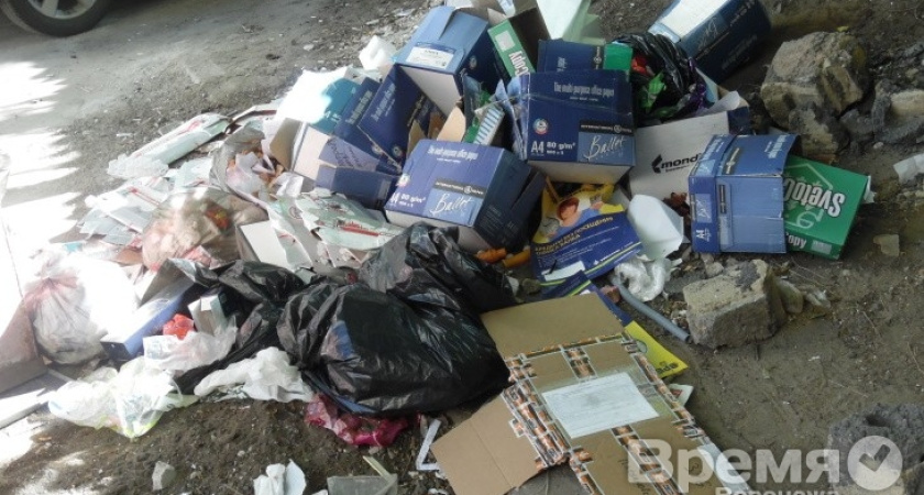 Воронежские общественники заставляют банкиров выносить за собой мусор