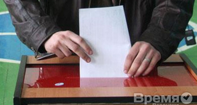 В Воронеже снова организуют выборы с предрешённым результатом