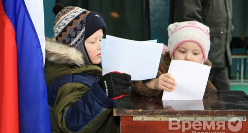 ЛДПР хочет дать избирательное право детям