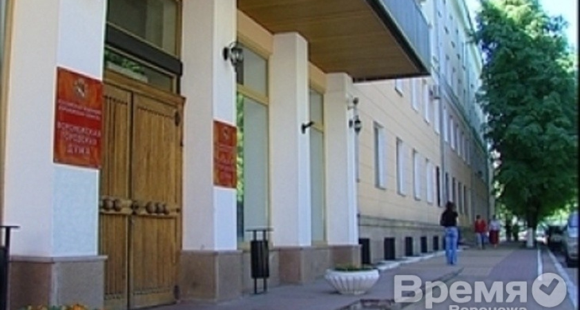 Без «Родного Воронежа» выборы не станут мягче