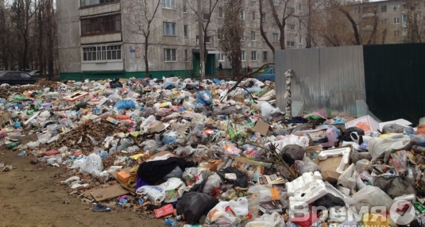 Вывоз отходов по-воронежски: одни мусорят, другие платят