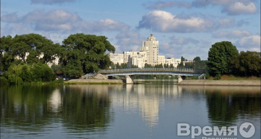 Реновацией воронежского водохранилища займутся сразу две иностранные компании