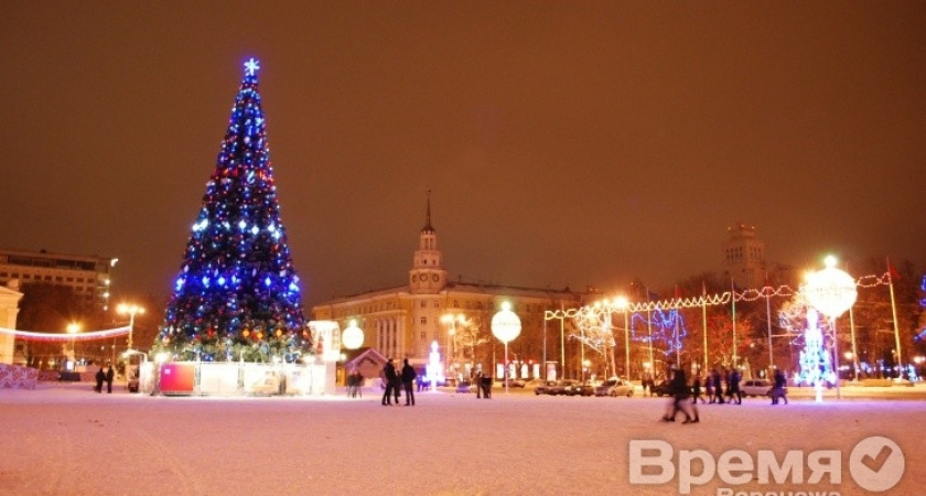 На ремонт воронежских дворов выделили 180 млн. рублей