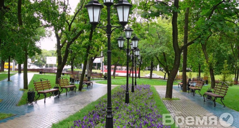 Реестр зеленых зон Воронежа пополнился бульварами и парками