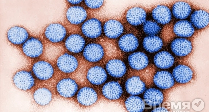 Следователи выясняют причину отравления воронежских кадетов