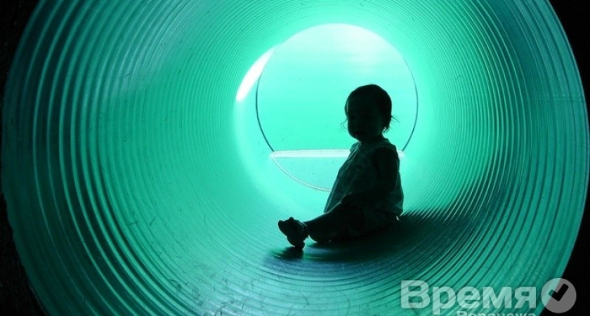 В Воронеже появится ресурсно-методический центр для аутистов