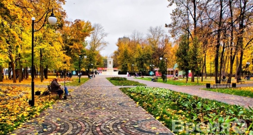 На содержание воронежских парков потратили на 38 млн. больше, чем планировалось