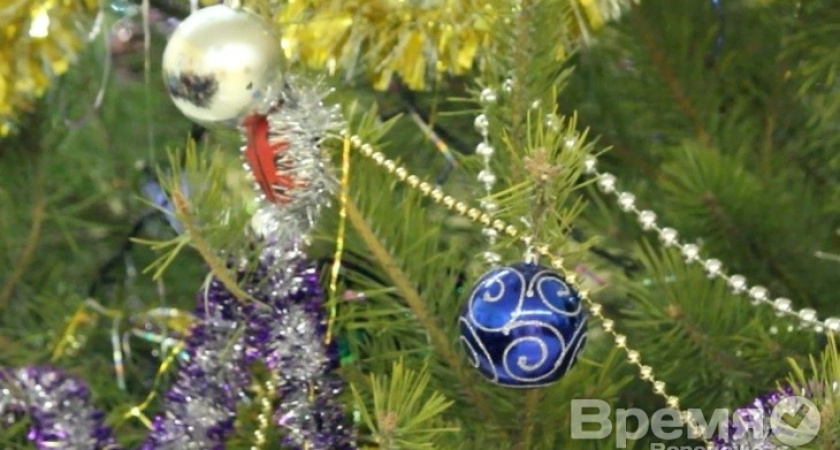 Фонд  «Дети России» устроил для новохоперских детей новогоднее чудо