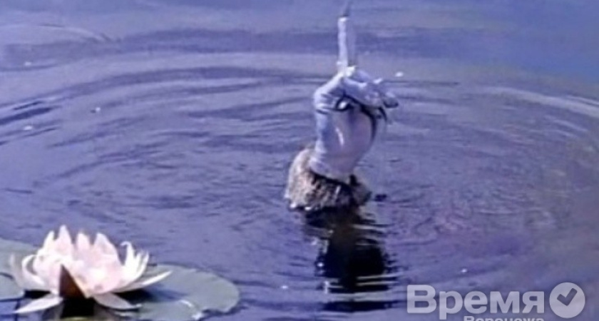 Михаил Палютин засветился ещё в одном  уголовном деле