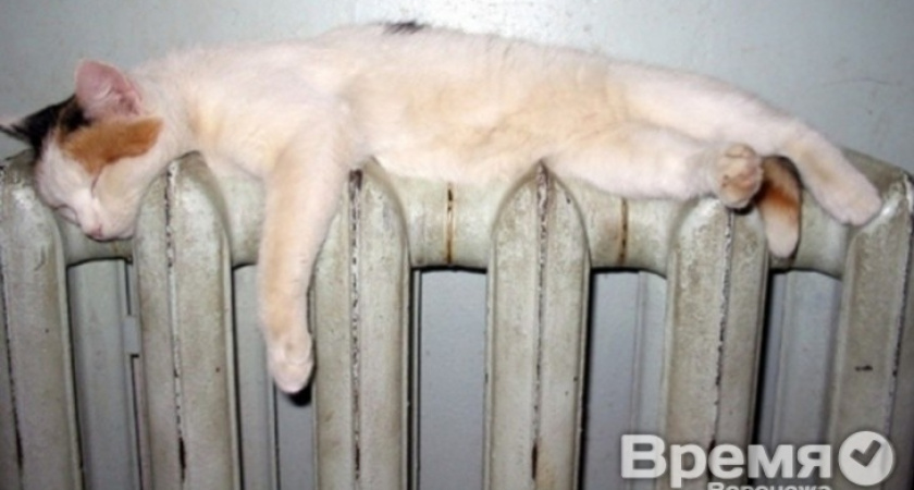 Самый крупный должник Воронежтеплосети УК «Стройтрест 2П»